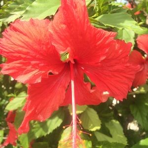 Meet your Posher, Rebecca